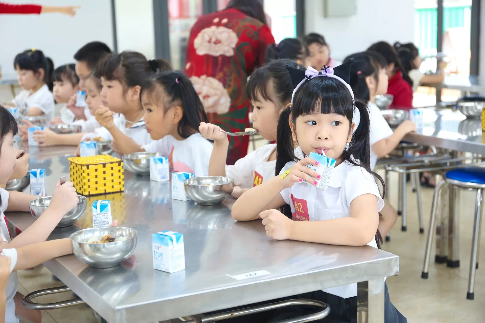 BACK TO SCHOOL 2024 - 2025